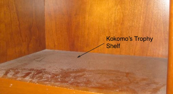 kokomo-trophy-shelf